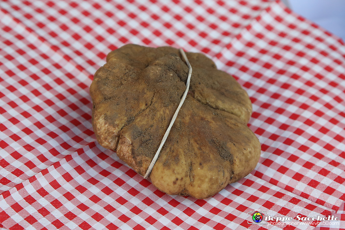 VBS_5704 - 10.ma Fiera Nazionale del Tartufo e Fiera dei Santi.jpg